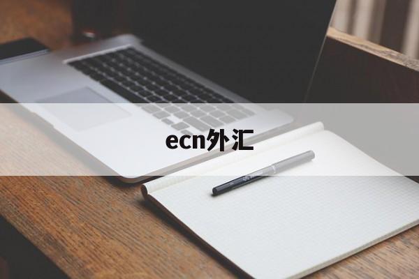 ecn外汇(ecn外汇交易平台)