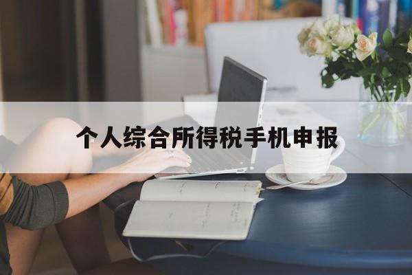 个人综合所得税手机申报(个人所得税申报手机上怎么操作)